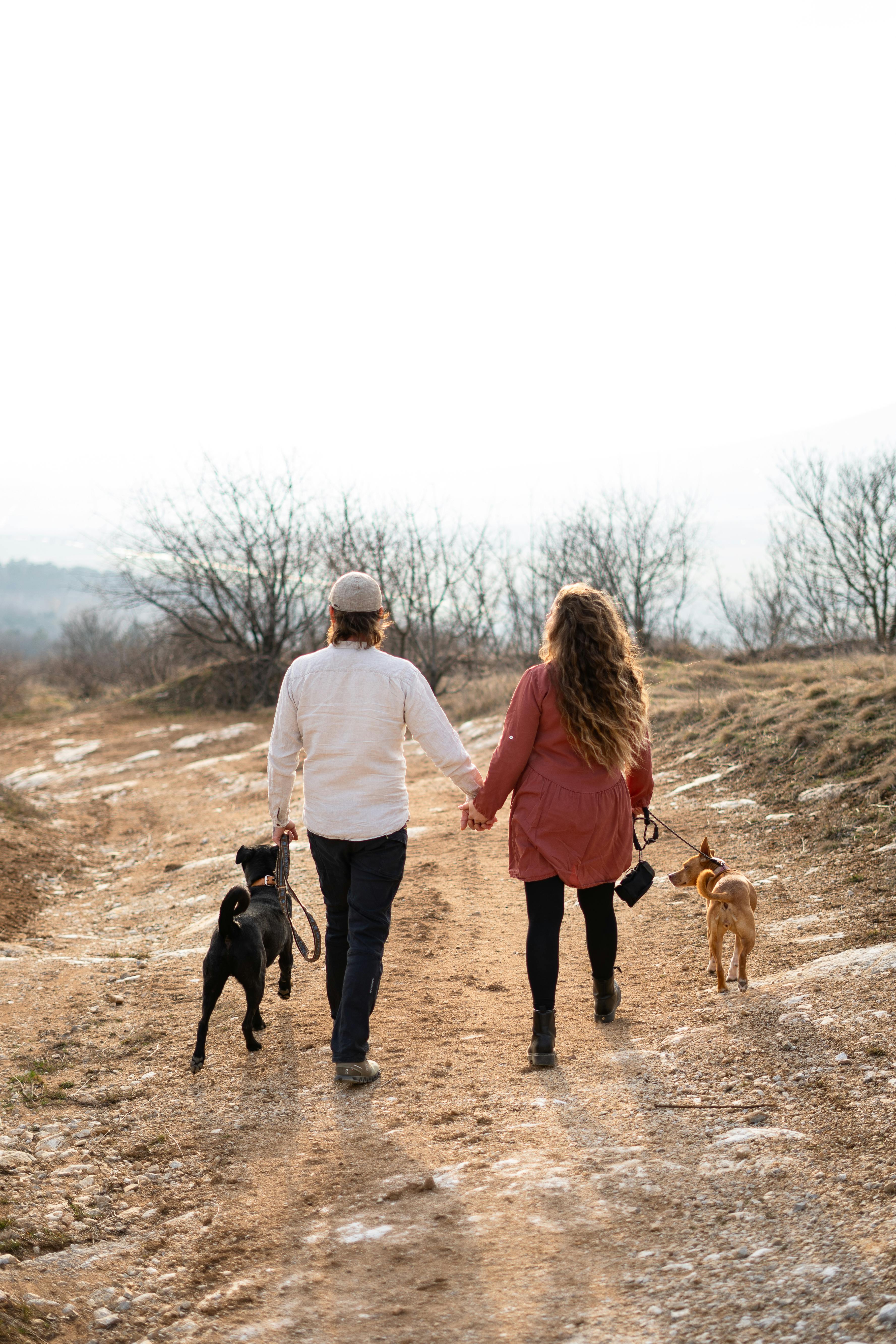 Egynapos romantikus programok: feszengés helyett valódi élmények